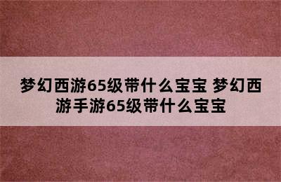 梦幻西游65级带什么宝宝 梦幻西游手游65级带什么宝宝